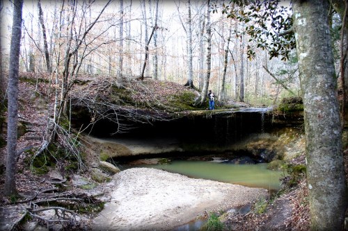 A serene forest scene featuring a small waterfall and a person standing on a rocky ledge above a calm pool of water.