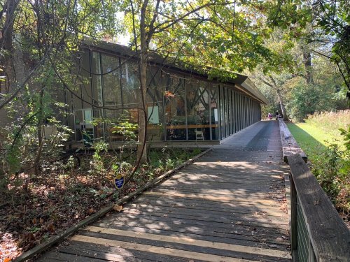 A wooden walkway leads to a modern glass building surrounded by trees and greenery.