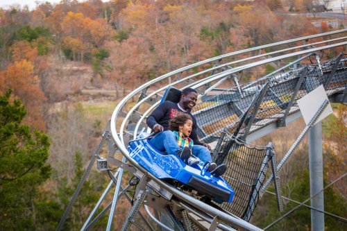 A man and a child joyfully ride a roller coaster on a scenic autumn day, surrounded by colorful trees.