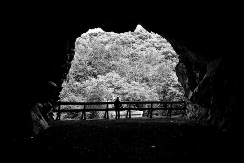 Silhouette of a person standing in a cave entrance, overlooking a forested landscape in black and white.
