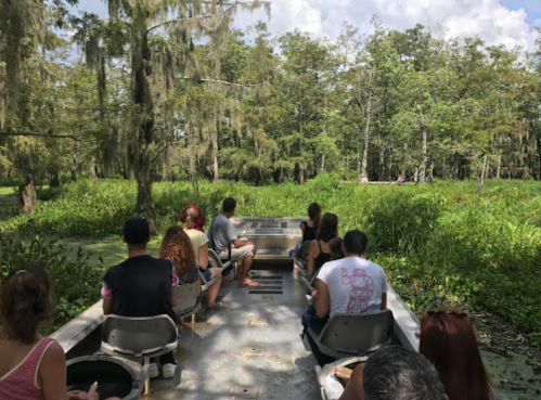 A group of people on a boat in a lush, green swamp surrounded by trees and water.