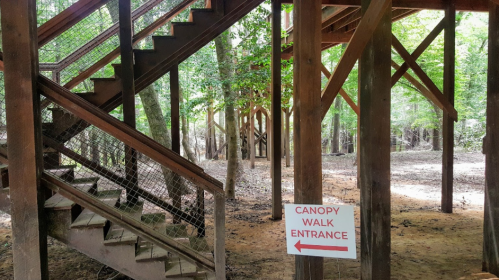 A wooden structure with stairs leading up to a canopy walk, featuring a sign pointing to the entrance.