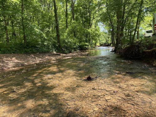 A serene forest scene featuring a clear, shallow creek surrounded by lush green trees and sunlight filtering through the leaves.
