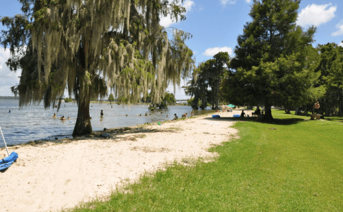 A sandy beach by a lake, with trees draped in Spanish moss and people swimming in the water on a sunny day.