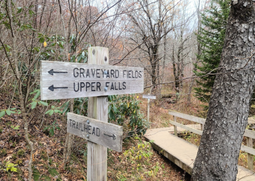 Wooden trail signs point to Graveyard Fields and Upper Falls, with a wooden walkway visible in the background.