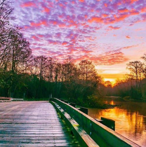 A wooden boardwalk leads to a serene sunset over a calm river, with vibrant clouds and trees lining the shore.