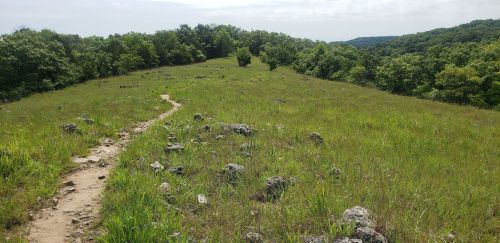 A winding dirt path through a grassy field with scattered rocks, surrounded by trees and rolling hills in the background.