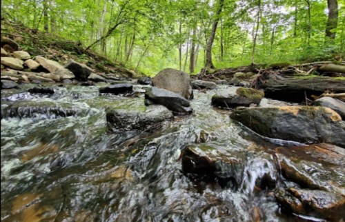 A serene stream flows over rocks, surrounded by lush green trees in a tranquil forest setting.
