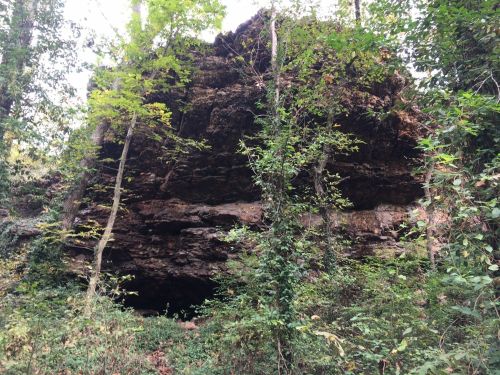 A rocky overhang surrounded by lush green trees and dense foliage in a forested area.