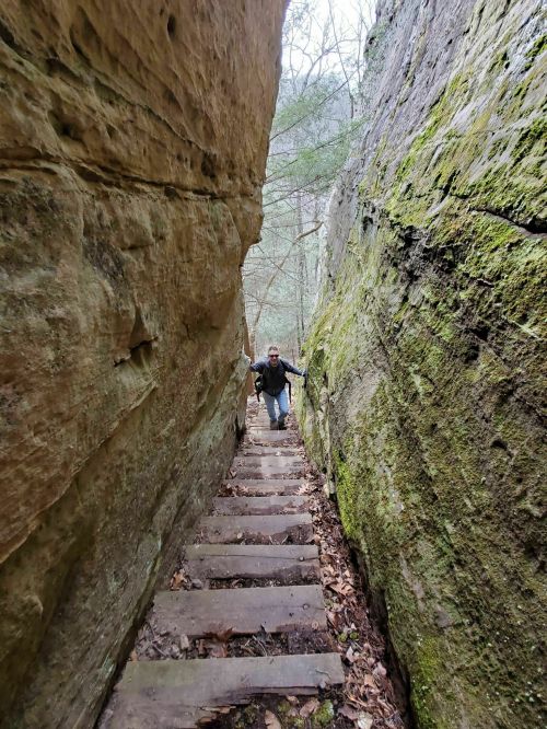 A person climbs wooden steps between two tall rock formations in a forested area.