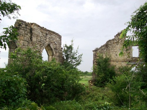 Ruins of a stone building surrounded by overgrown vegetation under a cloudy sky.