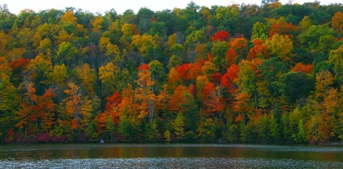 Vibrant autumn foliage in shades of red, orange, and yellow reflects on a calm lake surrounded by trees.