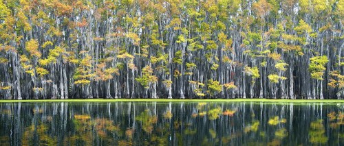 A serene lake reflecting a vibrant forest of trees with autumn foliage, showcasing rich colors and calm waters.