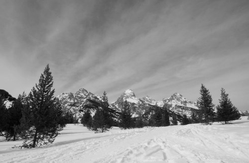 Black and white landscape of snow-covered mountains with scattered evergreen trees under a cloudy sky.