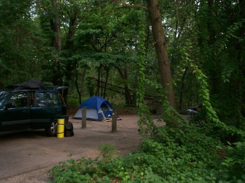 A campsite in a wooded area featuring a blue tent, a parked car, and lush greenery surrounding the site.