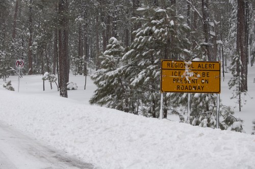 Snow-covered road with a warning sign about icy conditions, surrounded by tall pine trees.