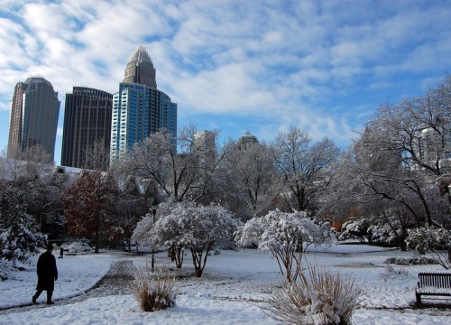 A snowy park scene with trees and shrubs, surrounded by tall buildings under a blue sky with clouds.