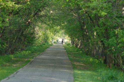 A serene pathway lined with trees, with two people walking in the distance on a sunny day.