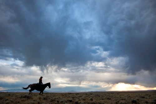 A silhouette of a rider on horseback against a dramatic sky with clouds and a hint of sunlight breaking through.