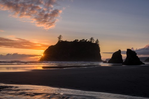 Sunset over a beach with rocky formations and silhouettes of trees against a colorful sky.