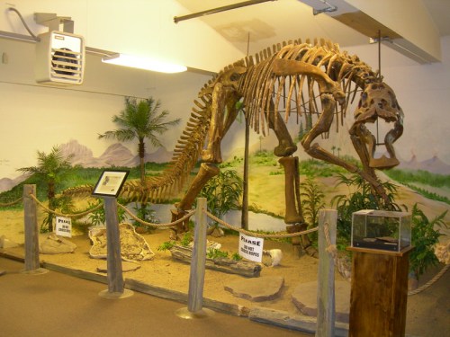 A dinosaur skeleton displayed in a museum, surrounded by a sandy environment and tropical plants.