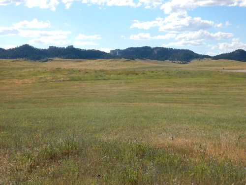 A wide, open grassy landscape with rolling hills and a blue sky dotted with clouds in the background.