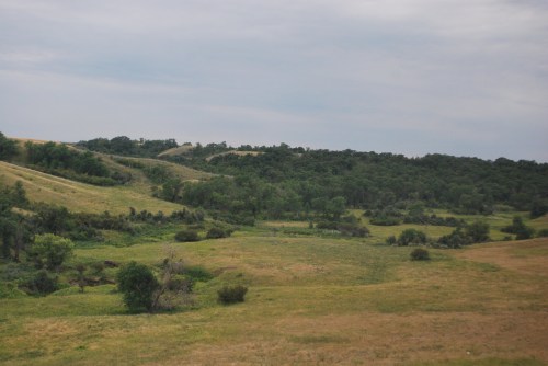 Rolling green hills under a cloudy sky, with patches of trees and open grassy areas.