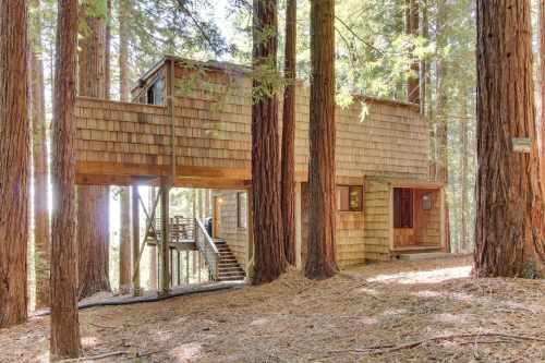 A wooden treehouse nestled among tall redwood trees, featuring a deck and large windows.