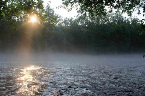 A serene river scene at dawn, with mist rising and sunlight filtering through trees.