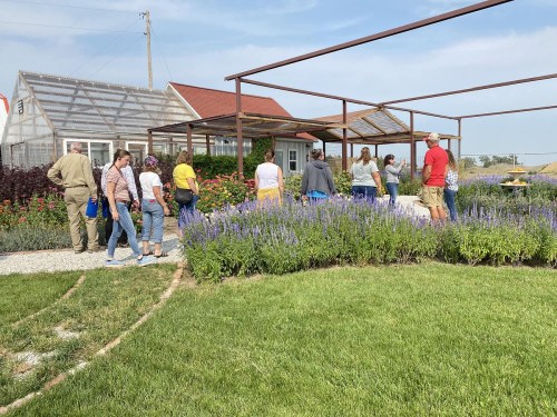 A group of people exploring a garden with flowers and a greenhouse on a sunny day.