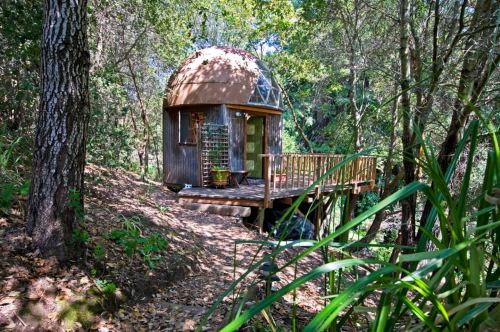 A unique dome-shaped cabin nestled among trees, featuring a wooden deck and surrounded by lush greenery.