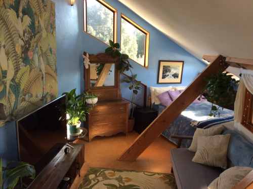 Cozy attic room with blue walls, wooden furniture, plants, and a bed under slanted ceiling with large windows.