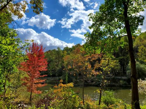 A scenic view of a river surrounded by trees with vibrant autumn foliage under a partly cloudy sky.