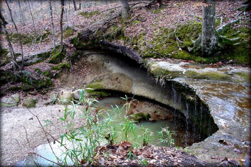 A serene forest scene featuring a small waterfall cascading into a pool surrounded by mossy rocks and fallen leaves.