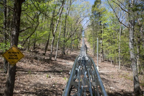 A winding roller coaster track through a lush green forest, with a caution sign reading "Always Look Ahead."