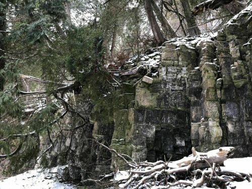 Snow-covered rocky cliffside surrounded by trees, with fallen branches and a serene winter atmosphere.