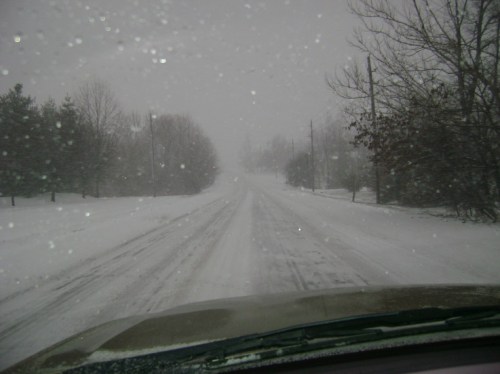 Snowy road scene with heavy snowfall, trees lining the sides, and limited visibility ahead.