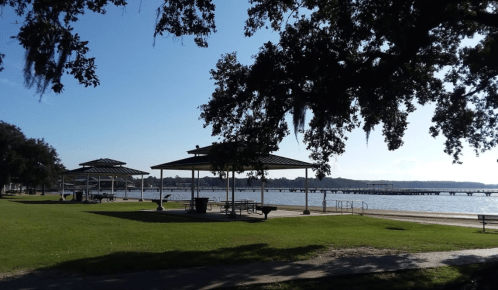 A peaceful park by the water featuring pavilions, green grass, and trees with Spanish moss under a clear blue sky.