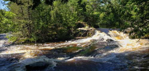 A serene river flows over rocks, surrounded by lush green trees under a clear blue sky.