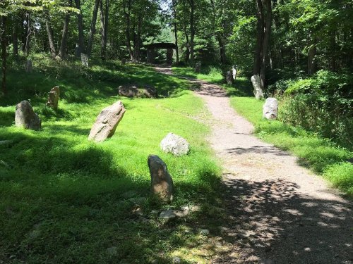 A grassy path winds through a wooded area, lined with large stones and dappled sunlight filtering through the trees.