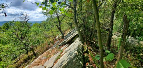 A rocky outcrop surrounded by lush green trees and foliage under a partly cloudy sky.