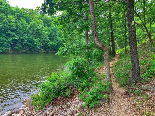 A serene riverside path lined with trees and greenery, leading along a calm, reflective water surface.