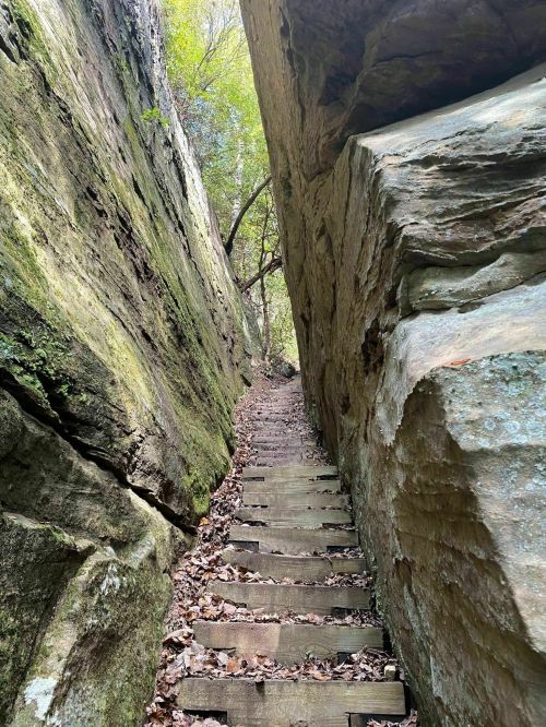 A narrow path with wooden steps between tall rock formations, surrounded by greenery and fallen leaves.