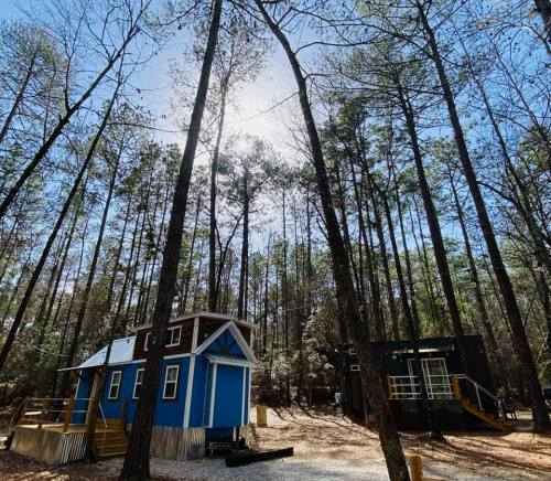 Two colorful tiny houses nestled among tall pine trees under a bright blue sky.