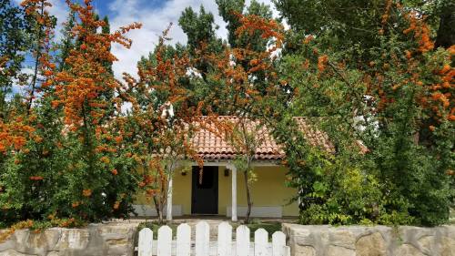 A charming yellow house surrounded by vibrant orange flowering trees and a white picket fence under a blue sky.