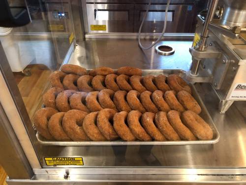 A tray of freshly made, cinnamon-sugar coated donuts displayed in a glass case.