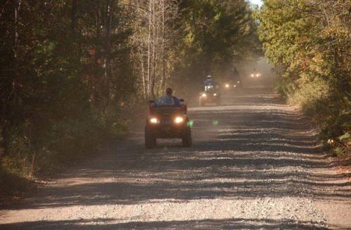 ATVs driving down a dusty, tree-lined gravel road on a sunny day.