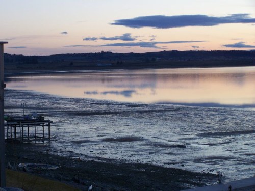 A serene lakeside view at dusk, with calm water reflecting the sky and exposed land along the shore.