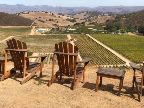 Adirondack chairs overlook rolling hills and vineyards under a clear sky, creating a serene outdoor scene.
