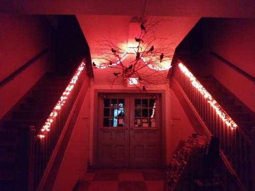 A dimly lit staircase with red lights and a branch decorated with black birds above the entrance.